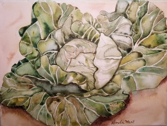 Cabbage - 9" x 12" x 7/8" -Original Watercolor Painting on Canvas