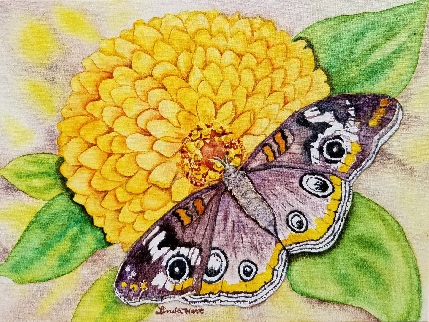 Zinnia and Butterfly - 9" x 12"x 7/8" - Original Watercolor on Canvas
